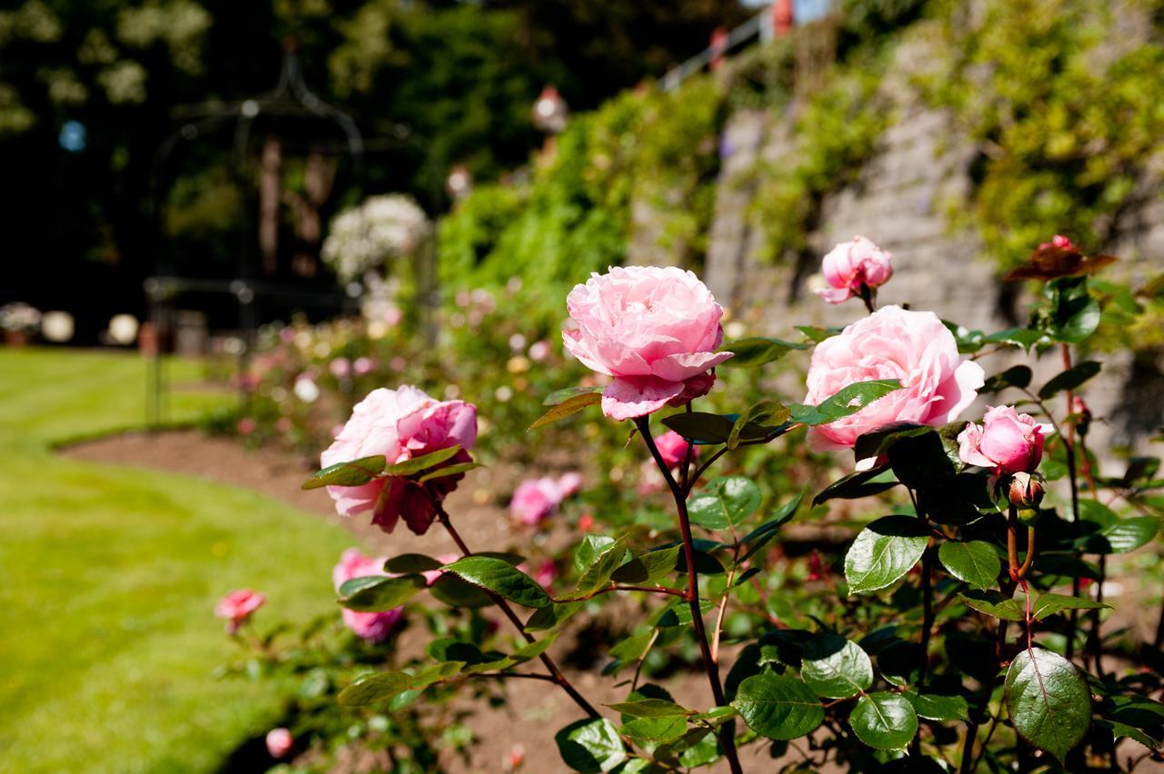 Miskin Manor Hotel Hensol Luaran gambar